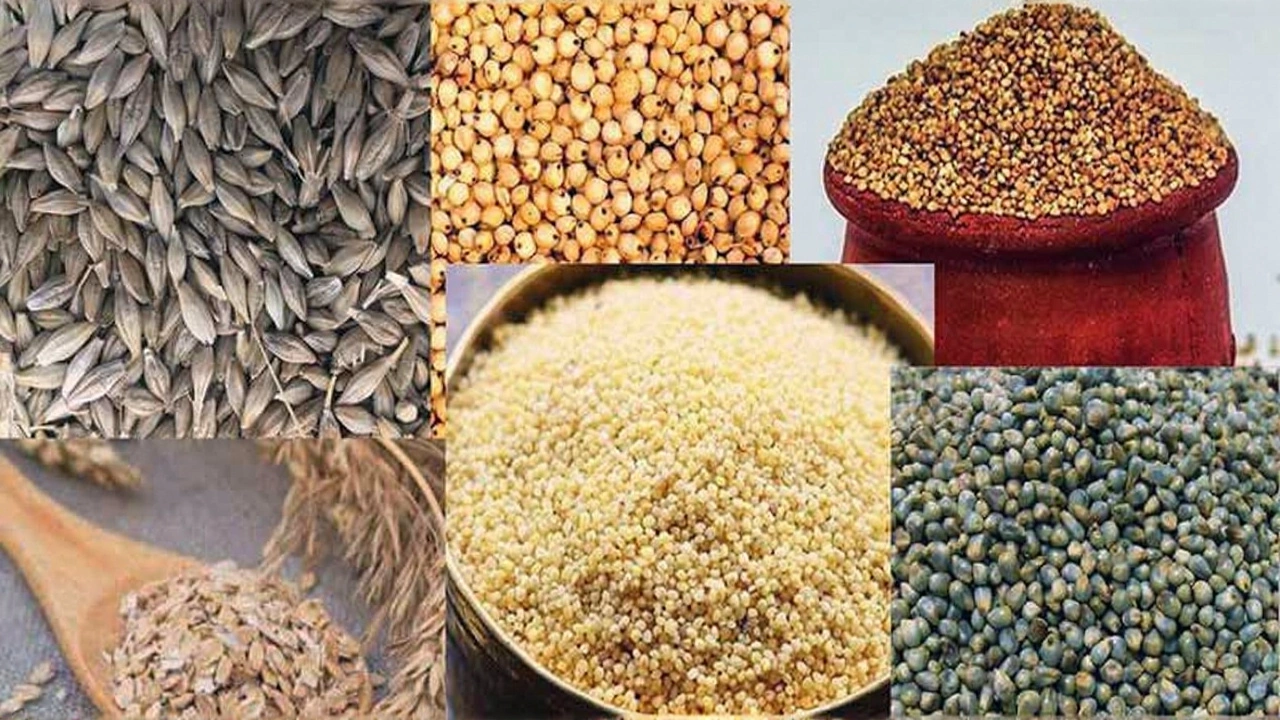 From Poor Man’s Food to Superfood: Millets Rise as Symbol of Wealth and Wellness in India
